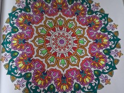 whatsapp bild 2025-03-27 um 12.35.44_0a619a3e